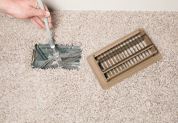 Best Air Duct Mold Removal  in Danielson, CT